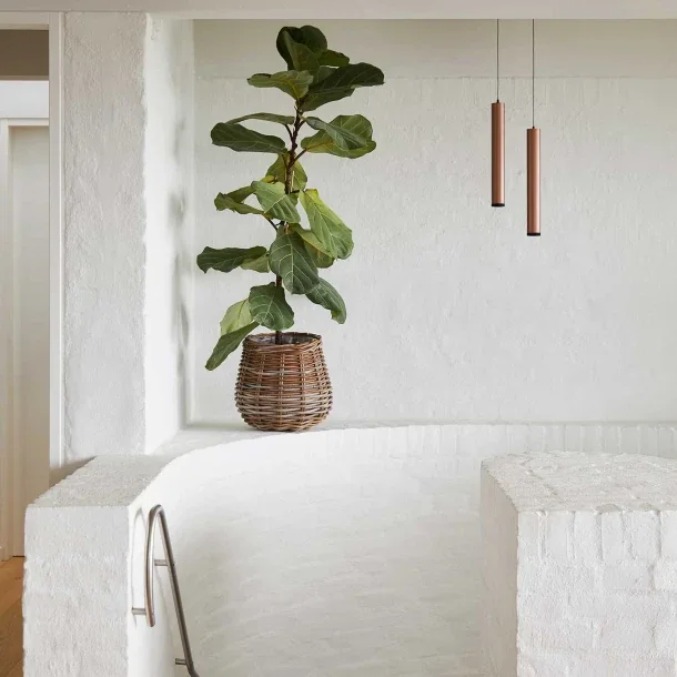Brass Lino Pendant Light (QN 34138-033) — view 4