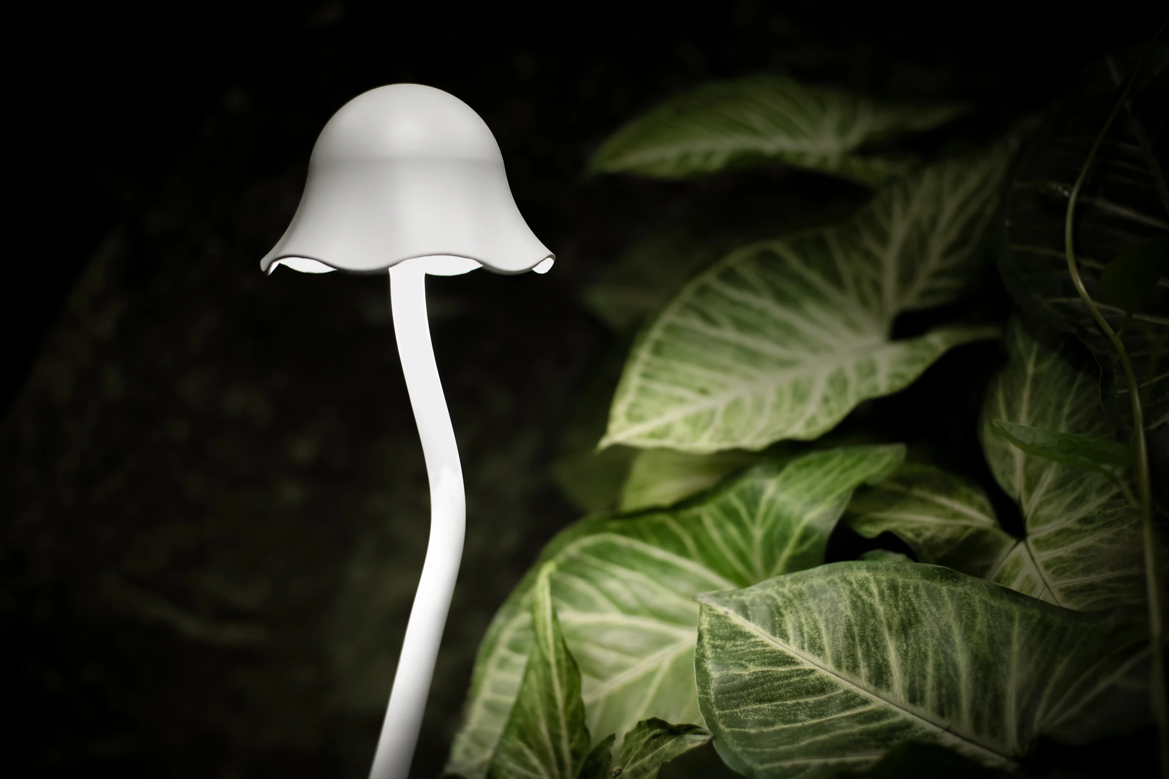 White Parasol Garden Set (QN 26271-415) — view 5