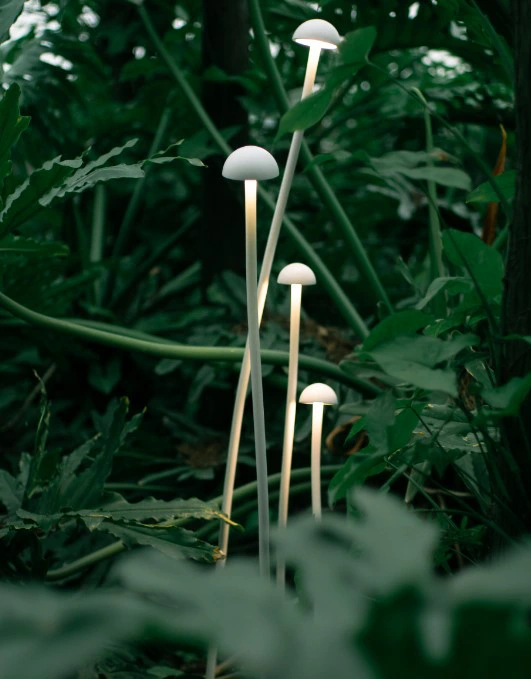 White Sprout Garden Set — Sandy White — Sprout series · Garden pole set