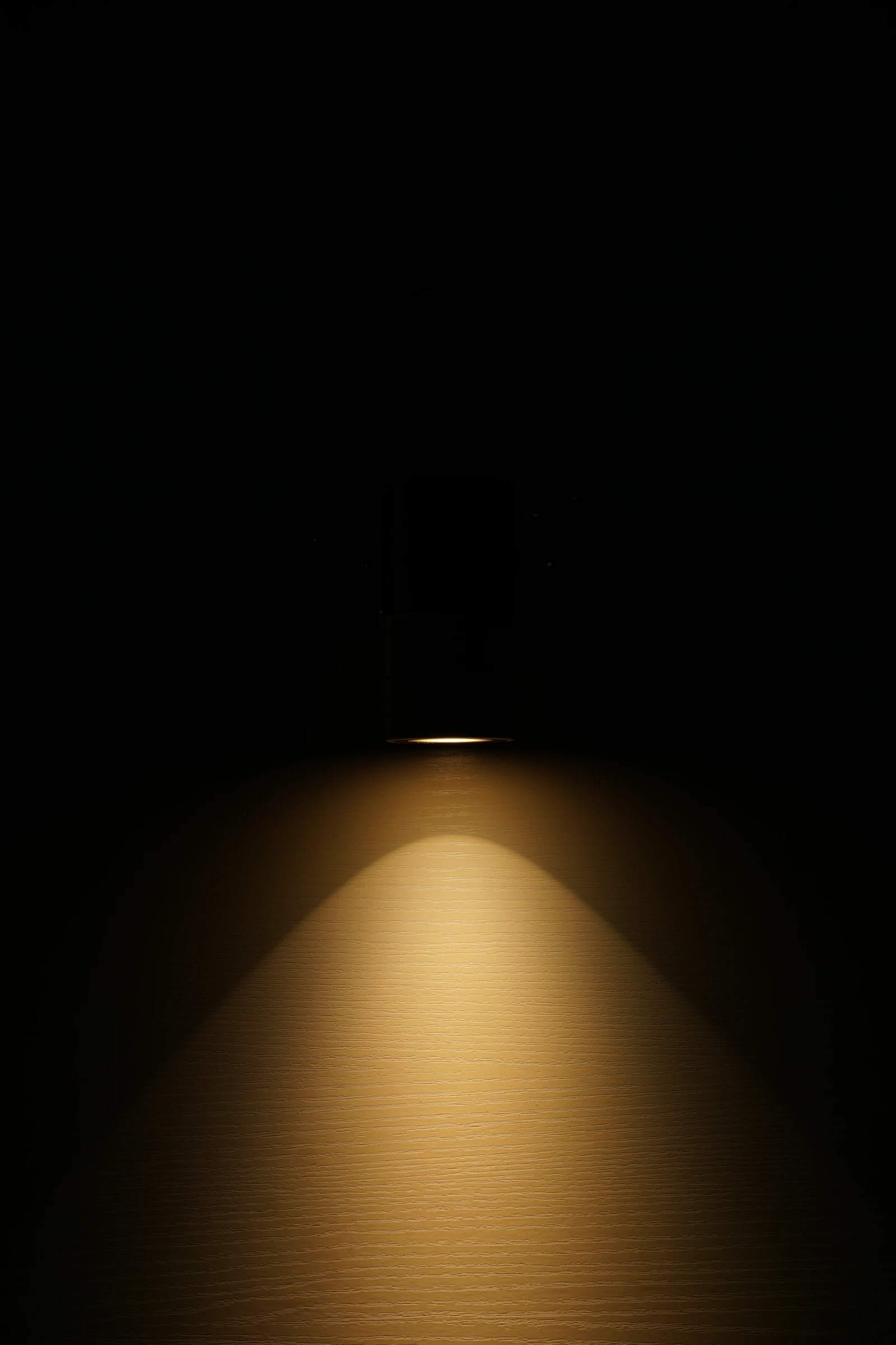 Gold Tandem Single Wall Light (QN 38338-397) — view 4